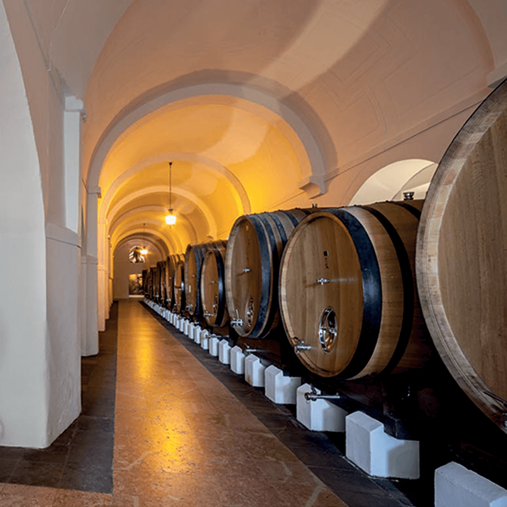 Adega Cartuxa – Quinta de Valbom